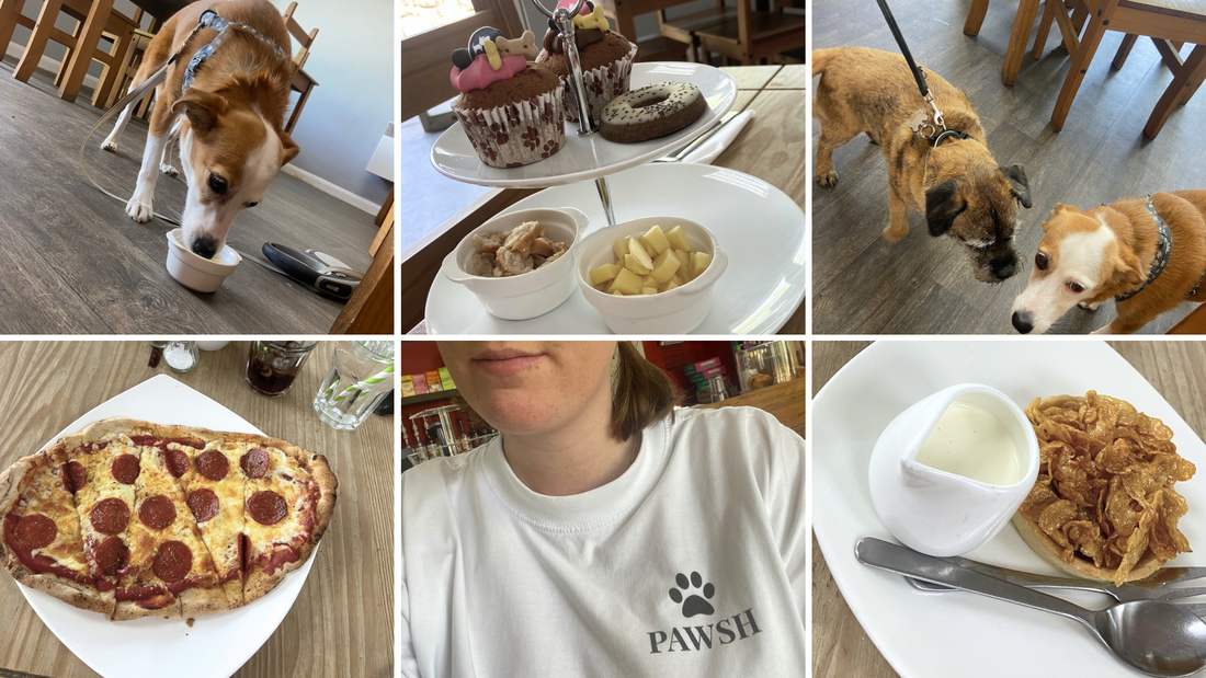 Pawsh Places: Doggie Afternoon Tea at Barking Blends Coffee House, Durham